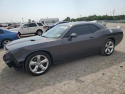 Dodge Challenger salvage cars for sale: 2013 Dodge Challenger SXT