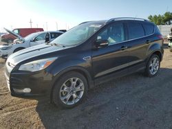 Ford Escape salvage cars for sale: 2014 Ford Escape Titanium