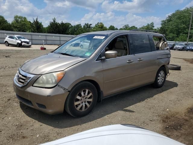 2008 Honda Odyssey EXL