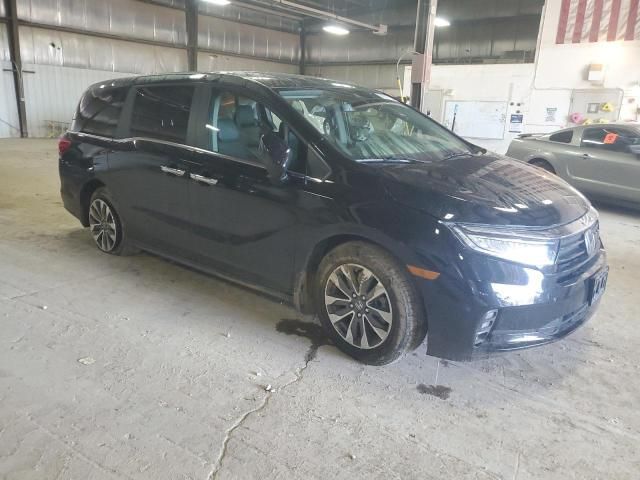 2022 Honda Odyssey EXL