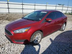 Ford Focus salvage cars for sale: 2016 Ford Focus SE