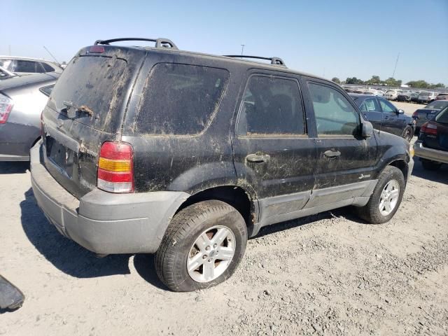 2006 Ford Escape HEV