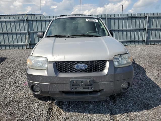 2006 Ford Escape XLT