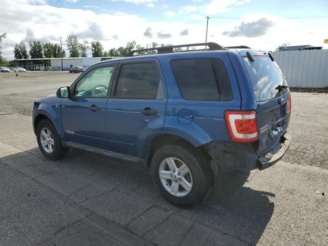 2008 Ford Escape HEV