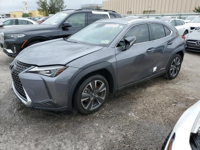 2019 Lexus UX 250H