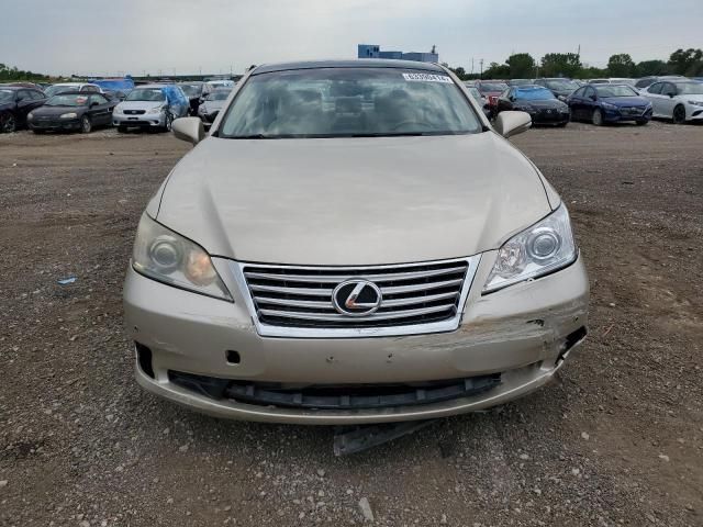 2010 Lexus ES 350