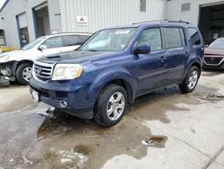 Honda Pilot salvage cars for sale: 2013 Honda Pilot EX