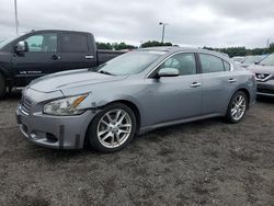 2009 Nissan Maxima S for sale in East Granby, CT