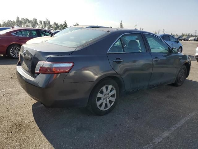 2009 Toyota Camry Hybrid