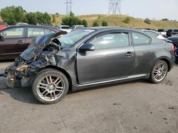 Scion salvage cars for sale: 2006 Scion TC