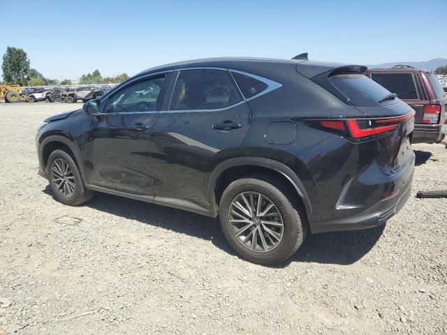 2024 Lexus NX 350H Base