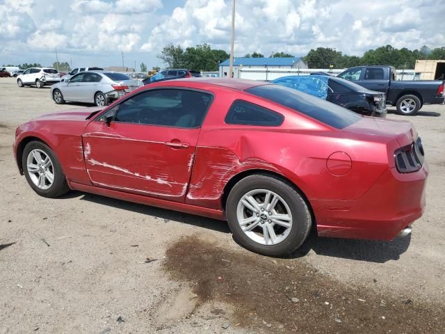 2013 Ford Mustang