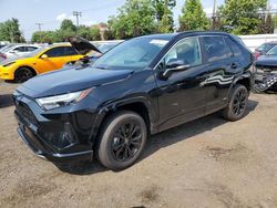 Toyota rav4 salvage cars for sale: 2024 Toyota Rav4 SE