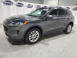 Vehiculos salvage en venta de Copart Ham Lake, MN: 2020 Ford Escape SE