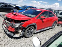 Salvage cars for sale from Copart Reno, NV: 2023 Subaru WRX