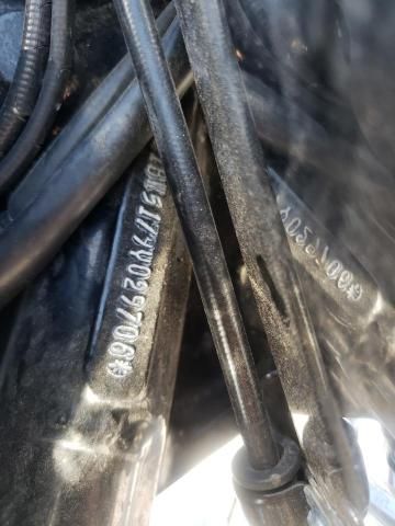 2009 Harley-Davidson Flstc