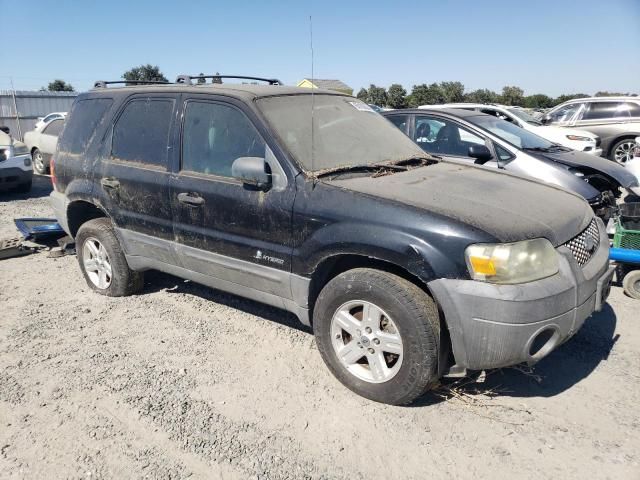 2006 Ford Escape HEV