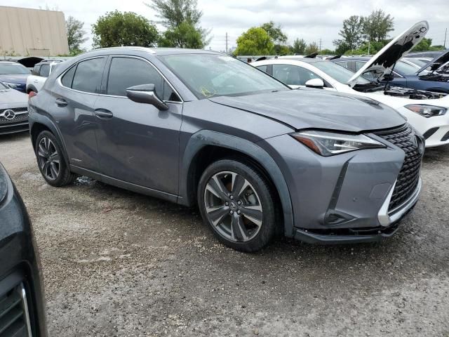 2019 Lexus UX 250H