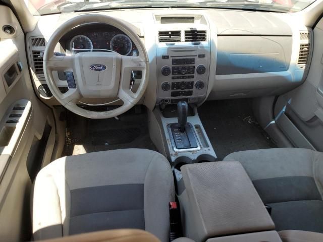 2008 Ford Escape XLT