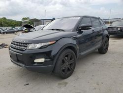 Land Rover Range Rover salvage cars for sale: 2013 Land Rover Range Rover Evoque Pure Plus