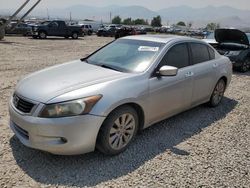 Honda salvage cars for sale: 2008 Honda Accord EXL