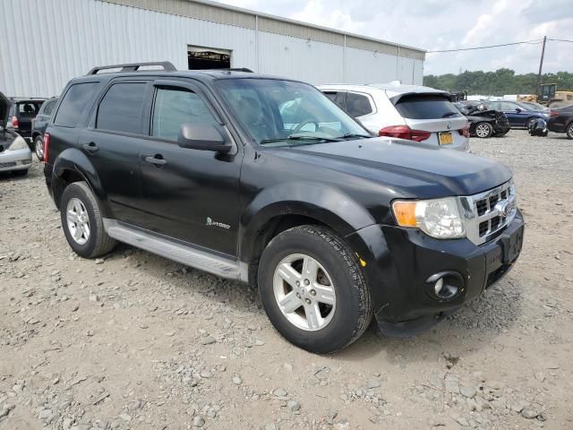 2012 Ford Escape Hybrid