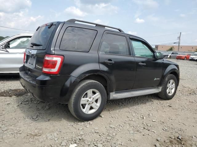 2012 Ford Escape Hybrid