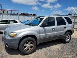 2005 Ford Escape XLT for sale in Kapolei, HI