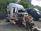 2017 International Prostar