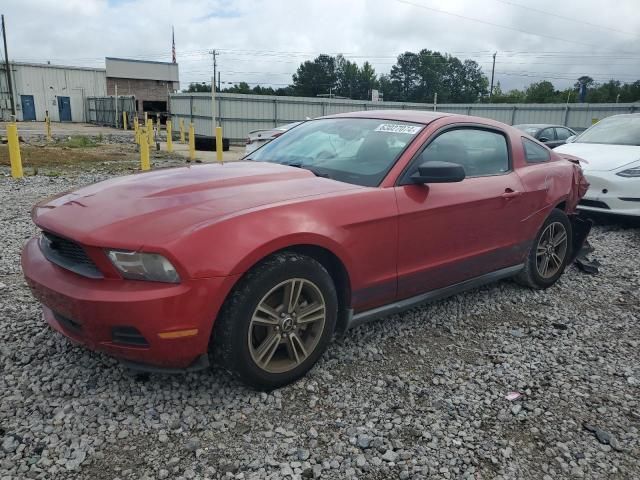 2010 Ford Mustang