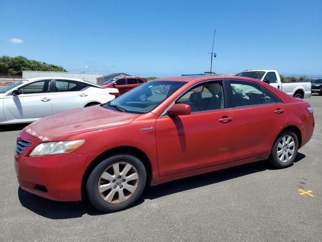 2007 Toyota Camry Hybrid