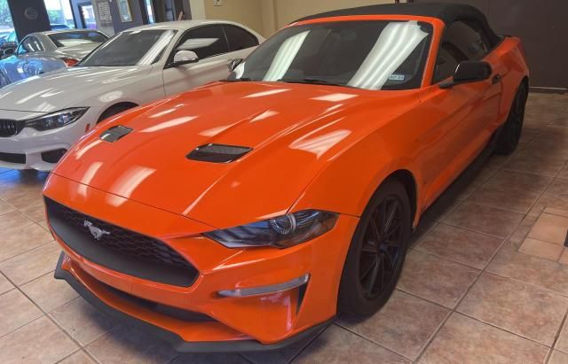 2019 Ford Mustang