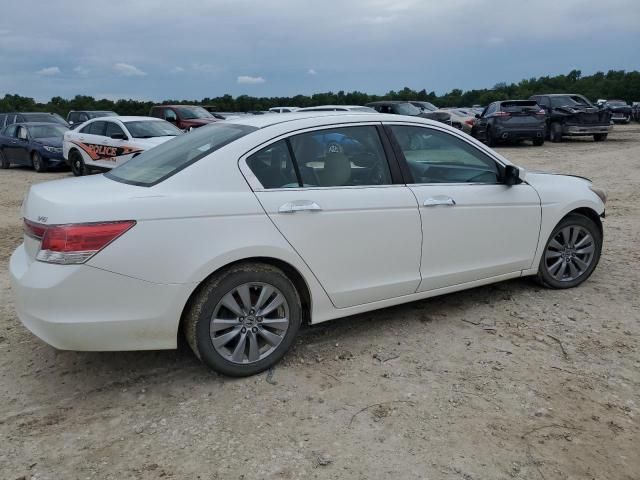 2011 Honda Accord EXL