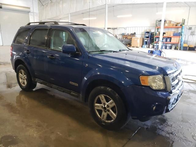 2008 Ford Escape HEV