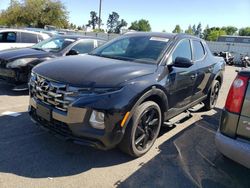 Hyundai Santa Cruz salvage cars for sale: 2023 Hyundai Santa Cruz Night