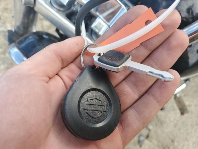 2023 Harley-Davidson Fxst