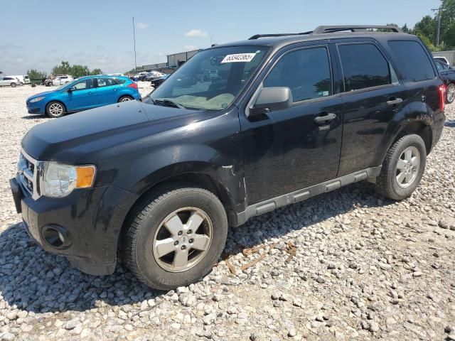 2011 Ford Escape XLT