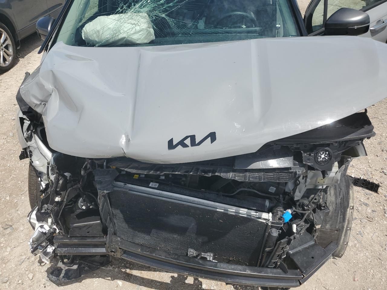 2025 KIA Carnival sx