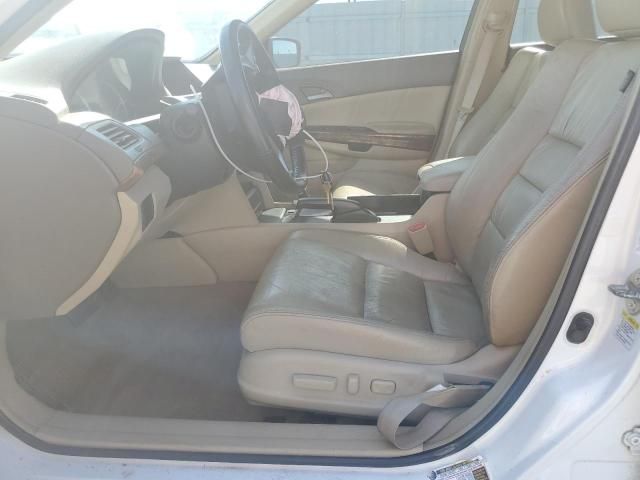 2008 Honda Accord EXL