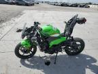 2025 Kawasaki EX500 H