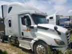 2019 Freightliner Cascadia 126