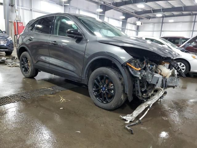 2020 Ford Escape SE Sport