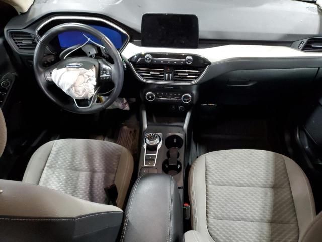2020 Ford Escape SE Sport