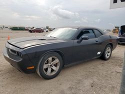 Dodge Challenger salvage cars for sale: 2012 Dodge Challenger SXT