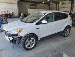 Ford salvage cars for sale: 2014 Ford Escape se