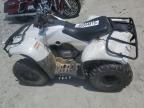 2018 Honda Recon