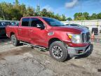 2017 Niss Titan sv