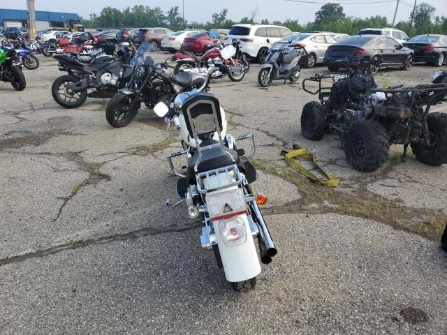 2002 Harley-Davidson Flstfi