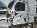 2019 Freightliner Cascadia 126 Semi Truck