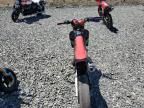 2022 Honda CRF450 RX